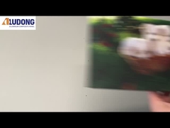 การพิมพ์